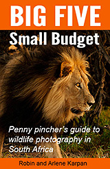 Big Five Small Budget cover